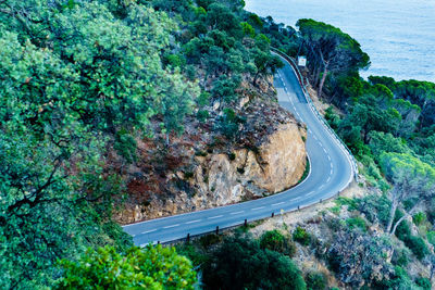 High angle view of road amidst trees