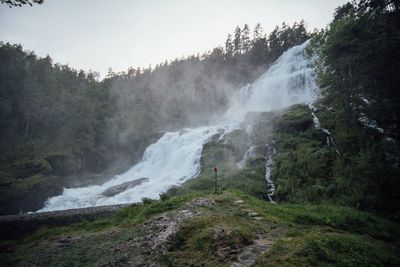 Scenic view of waterfall in forest