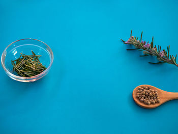 High angle view of potted plant on table against blue background