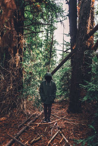 Rear view of man walking in forest