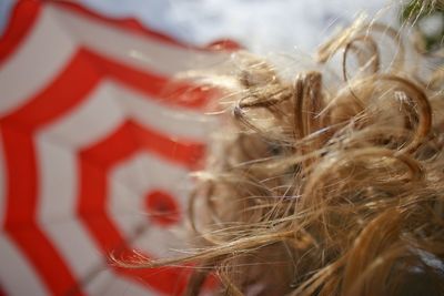 Close-up of woman against blurred background