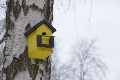 Yellow birdhouse on snow covered tree