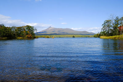 Scenic view of lake by trees against blue sky