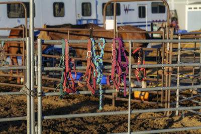 Bay horse standing at split rail metal fence in a pasture, mountain view in the background