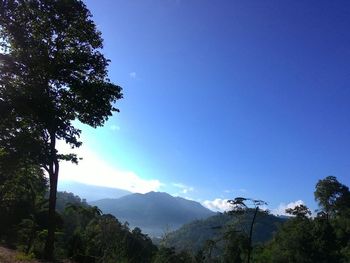 Scenic view of mountains against clear blue sky