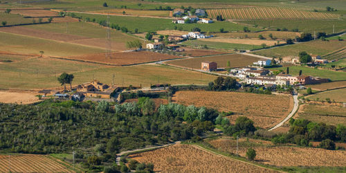 High angle view of agricultural field