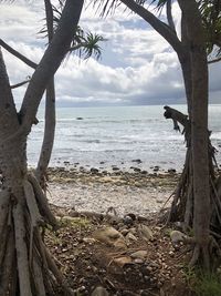 Scenic view of sea against sky