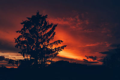 Silhouette tree against dramatic sky during sunset