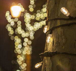 Low angle view of illuminated lighting equipment on tree
