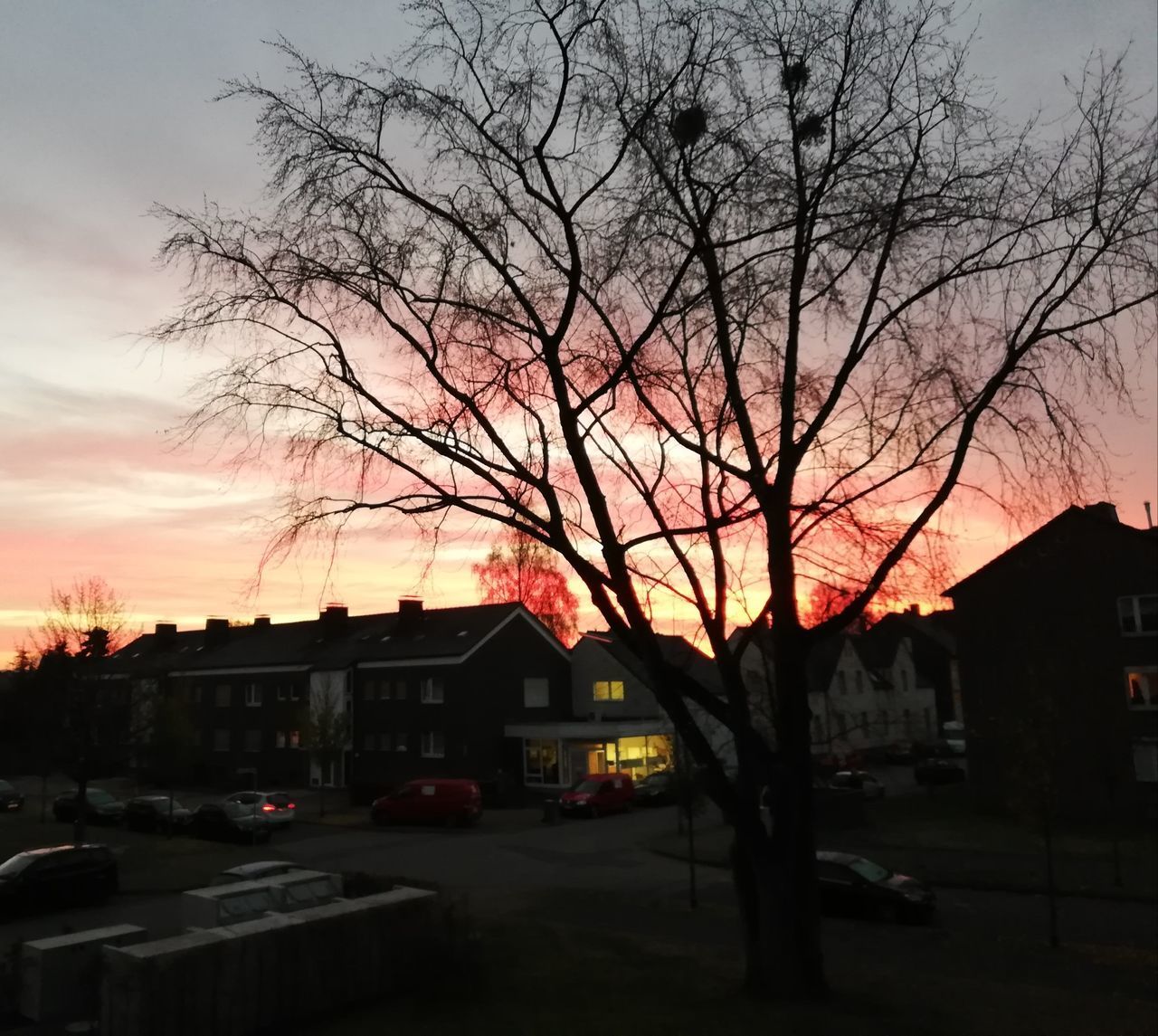 SILHOUETTE BARE TREES BY STREET AGAINST SKY AT SUNSET