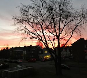 Silhouette tree by buildings against sky during sunset