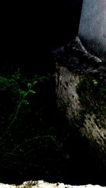 Close-up of old stone wall at night