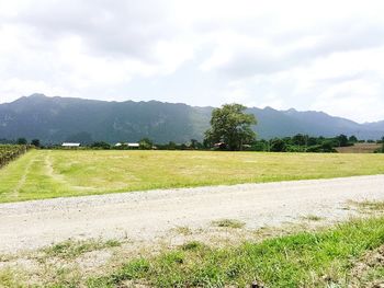 Scenic view of field against sky