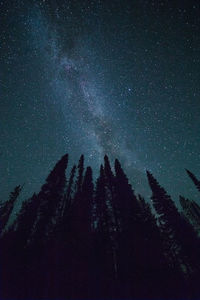 Low angle view of silhouette trees against sky at night