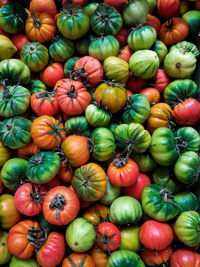 Full frame shot of tomato varieties