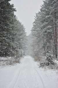 Road amidst snow covered trees against sky