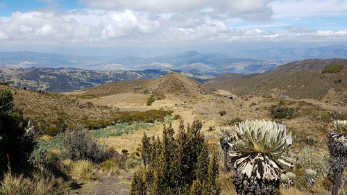 Scenic view of landscape against sky