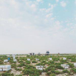 Beehive on field against sky