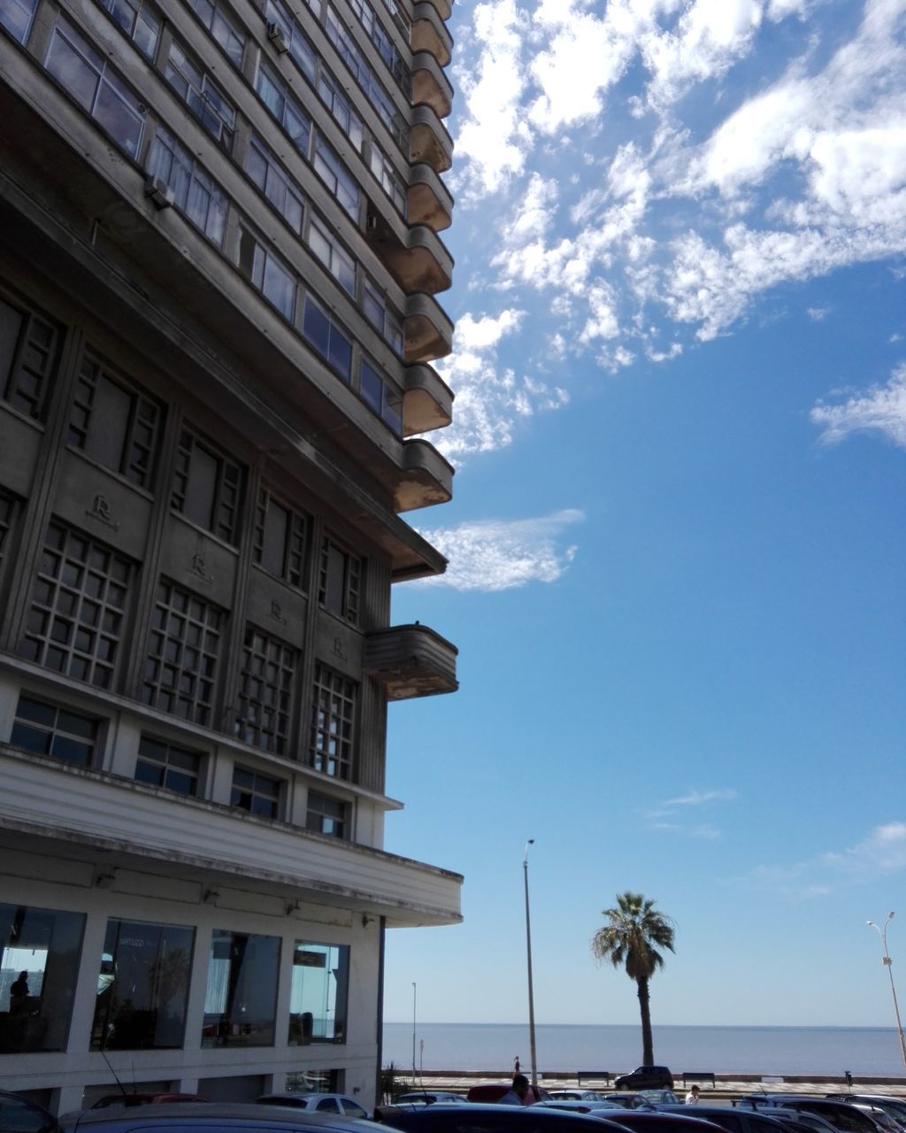 LOW ANGLE VIEW OF PALM TREES AND BUILDING AGAINST SKY