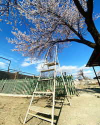 Low angle view of cherry blossoms against sky