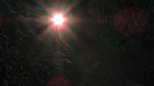 Sun shining through trees in sky