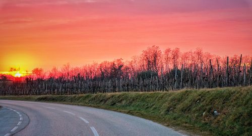 Road by trees against sky during sunset