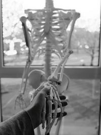 Close-up of person holding skeleton