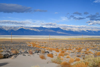 Scenic view of landscape against blue sky