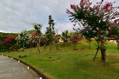 Scenic view of trees on field against sky