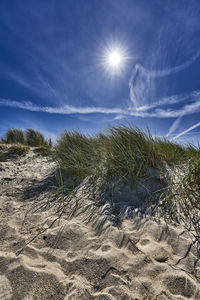 Scenic view of beach against sky