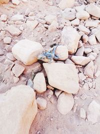 High angle view of stones