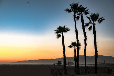 Silhouette palm trees on beach against sky during sunset