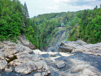 Scenic view of rocks in forest against sky