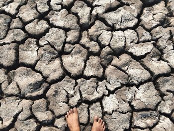 Low section of person legs on cracked land