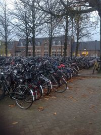 Row of bicycles parked in row