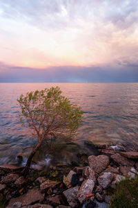 Scenic view of sea against sky during sunset