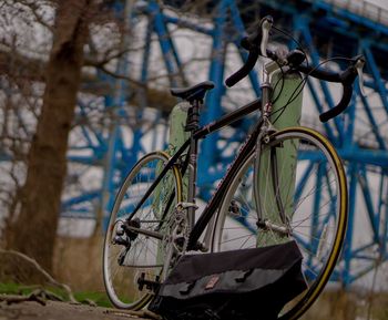 Bicycle parked on tree