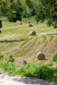 Hay bales on field