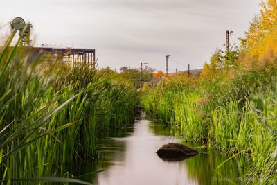 Water flowing in grass against sky