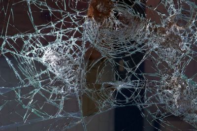 Close-up of spider on web