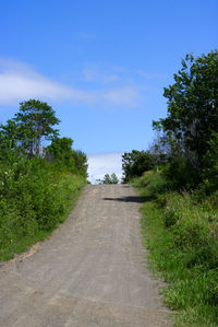 Empty road along plants and trees against sky