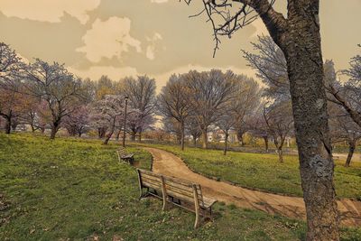 Park bench on field against sky