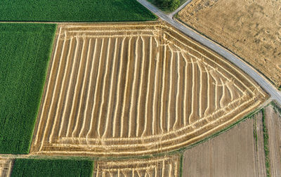 High angle view of agricultural field