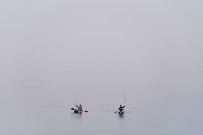 Sailboats sailing in sea against clear sky