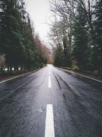 Empty road along trees