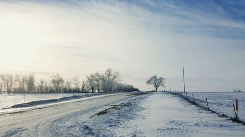 Snow covered bare trees against sky