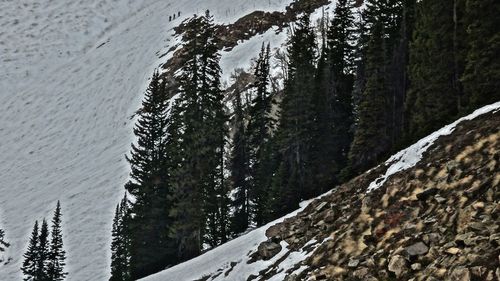 Close-up of snow on mountain against sky