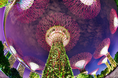 Low angle view of flowering plants at night