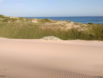 Scenic view of sandy beach