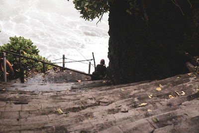 People sitting on shore against trees